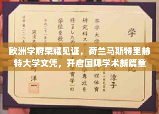 欧洲学府荣耀见证，荷兰马斯特里赫特大学文凭，开启国际学术新篇章