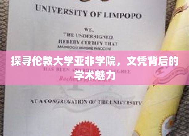 解码伦敦亚非学院，文凭之光下的学术奥秘