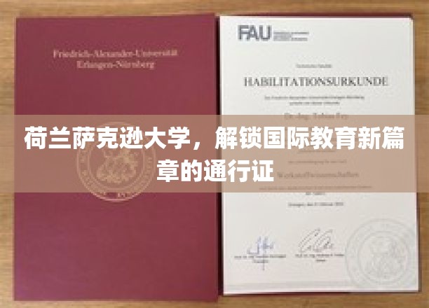荷兰萨克逊大学，开启国际教育新纪元的钥匙