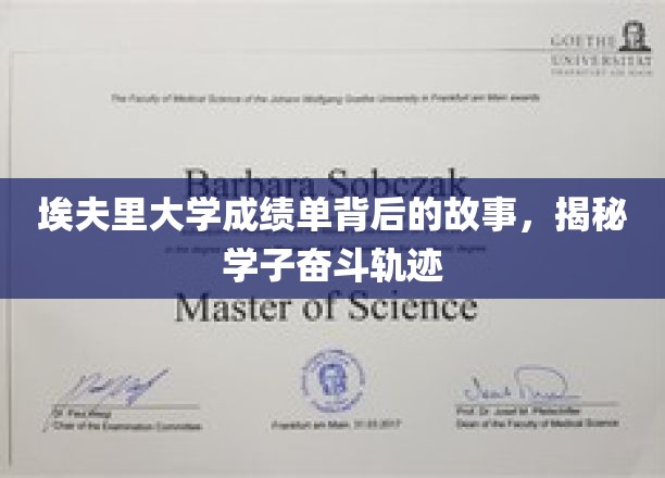 埃夫里大学成绩单背后的故事，揭秘学子奋斗轨迹