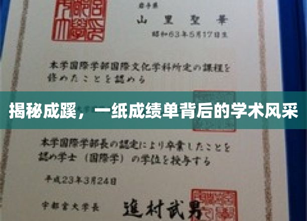揭秘成蹊，一纸成绩单背后的学术风采