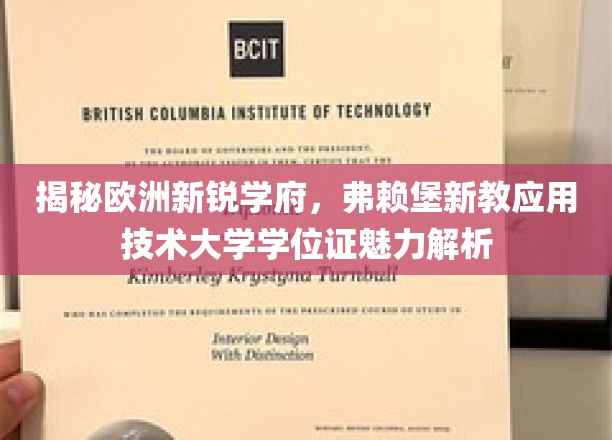 探秘德国新贵学府，弗赖堡新教应用技术大学学位证背后的无限魅力