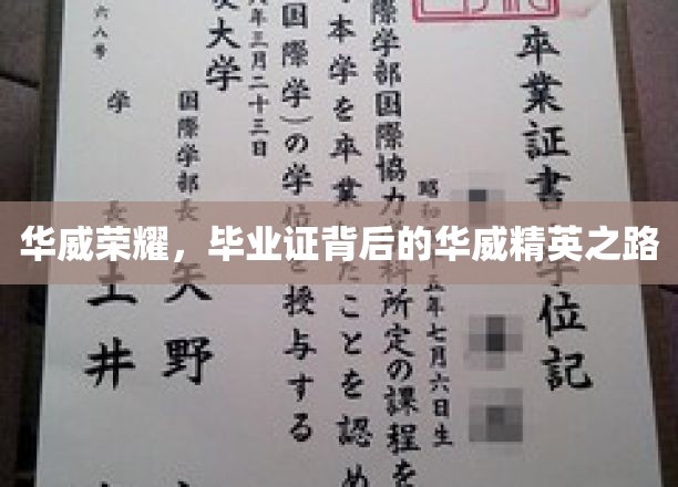荣耀华威，揭开毕业证书背后的精英成长轨迹