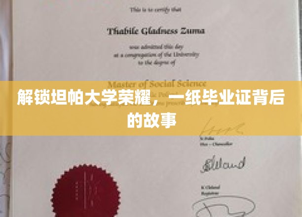 揭开坦帕大学传奇毕业证背后的神秘面纱