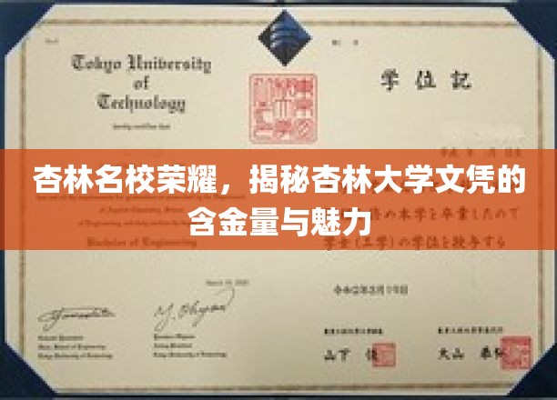 杏林名校荣耀，揭秘杏林大学文凭的含金量与魅力