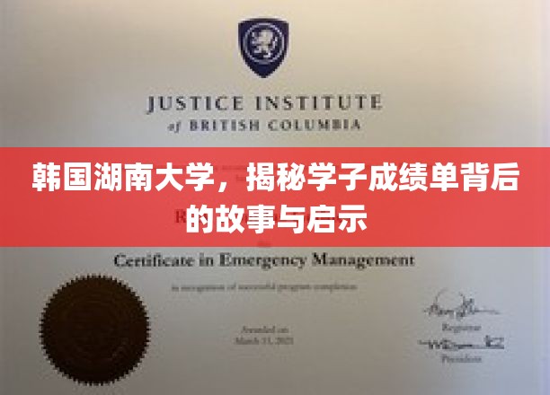 揭秘韩湘风云，湖南大学学子成绩单中的传奇与启示