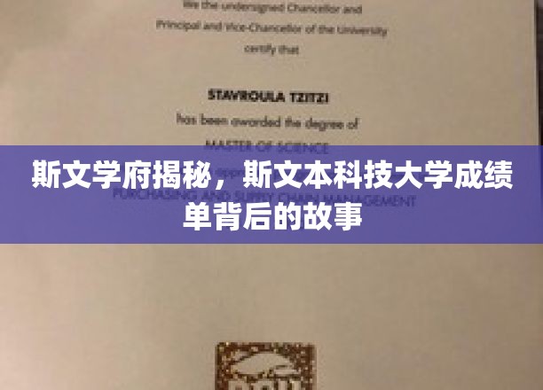 探秘斯文本，揭秘学霸成绩单背后的斯文学府传奇