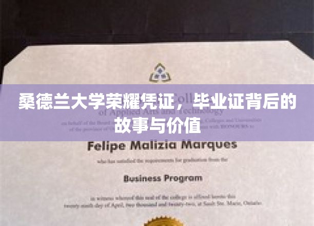 解码桑德兰荣耀，毕业证背后的传奇与深远意义