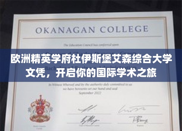 解锁国际学术之门，杜伊斯堡艾森综合大学文凭，成就全球视野精英