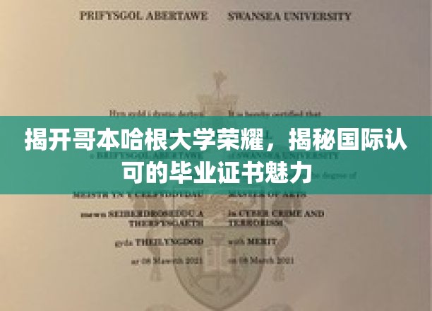 哥本哈根大学证书之谜，全球认可背后的教育之光