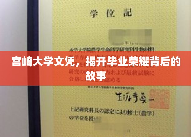 宫崎大学文凭，揭开毕业荣耀背后的故事