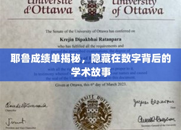 耶鲁成绩单背后，解码数字背后的学术传奇