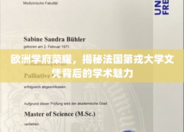 探寻法国第戎大学文凭之光，揭秘学术殿堂的荣耀奥秘