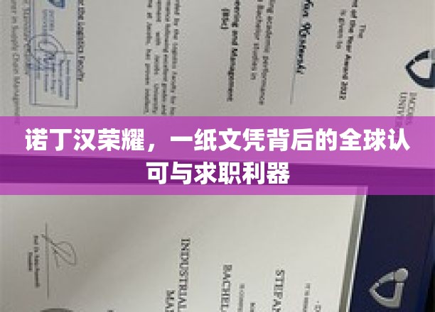 诺丁汉荣耀，国际通行证，求职路上的璀璨文凭