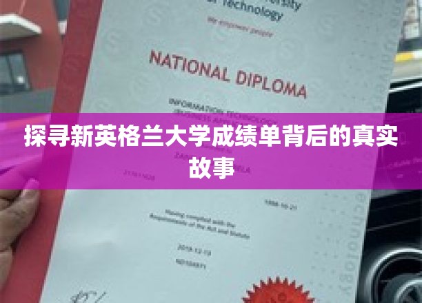 解码新英格兰大学成绩单，揭开学术成就的神秘面纱