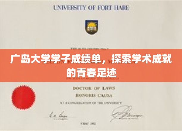 青春足迹下的广岛大学卓越篇章