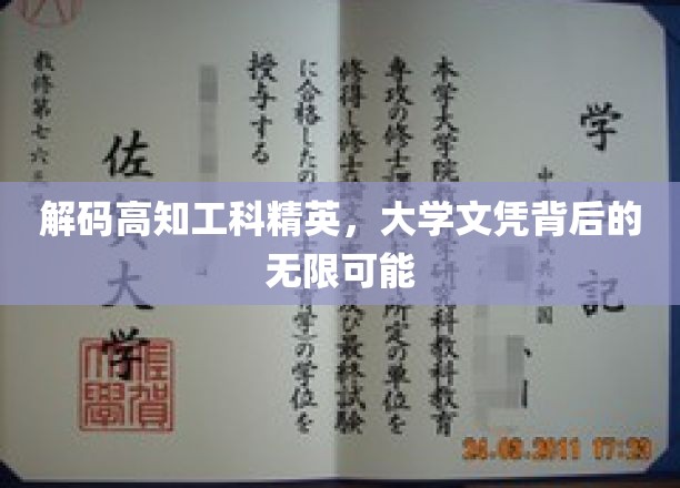 解锁高学历工科精英，文凭背后的璀璨未来