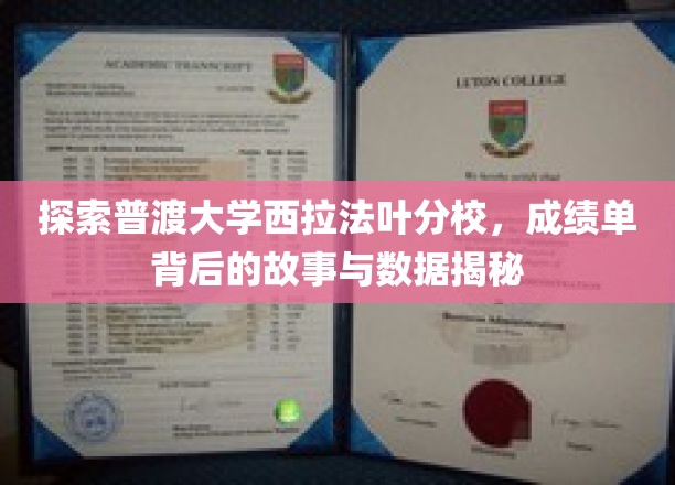 探索普渡大学西拉法叶分校，成绩单背后的故事与数据揭秘