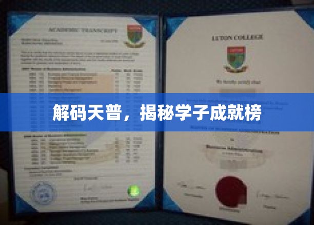 解码天普，揭秘学子成就榜