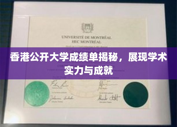 解码香港公开大学成绩单，一窥学术实力与卓越成就