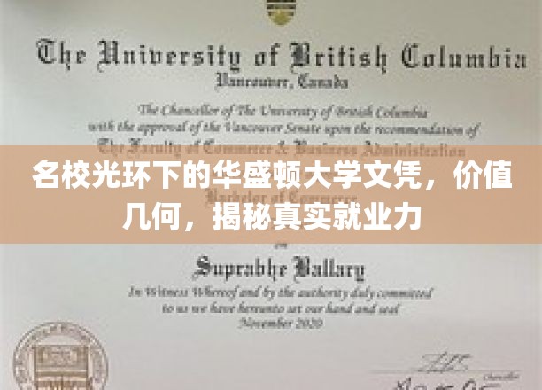 名校光环下的华盛顿大学文凭，价值几何，揭秘真实就业力