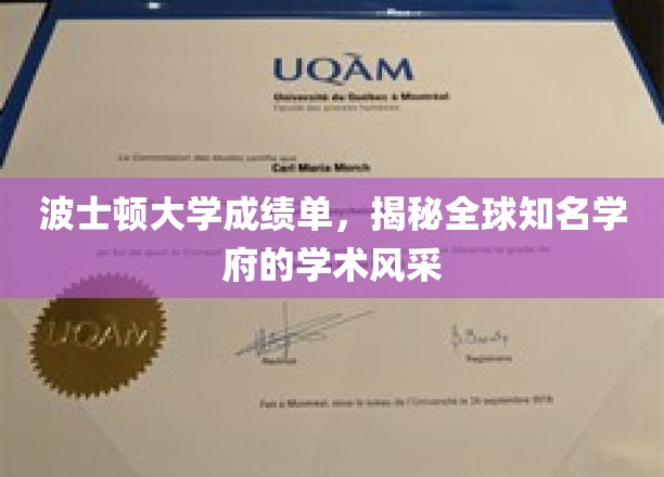 探寻波士顿大学成绩单背后的学术魅力