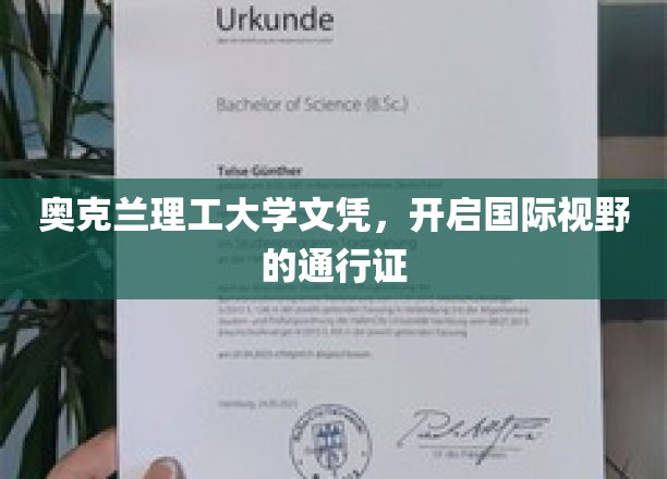 奥克兰理工文凭，跨国界启航的智慧钥匙