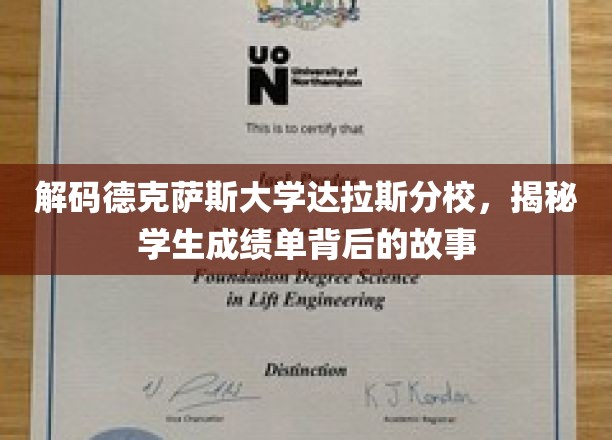 探寻德克萨斯大学达拉斯分校成绩单的奥秘，学子成就背后的真实故事