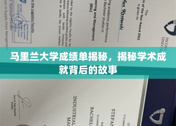 马里兰大学成绩单揭秘，揭秘学术成就背后的故事