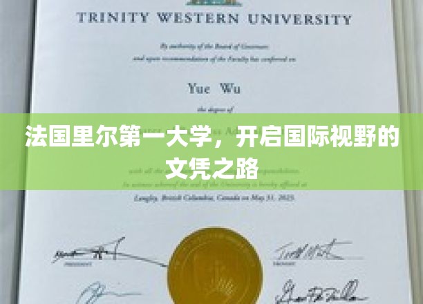 跨越国界，里尔一大学引领多元文化教育新里程