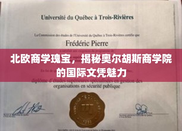 探寻北欧教育精髓，奥尔胡斯商学院国际文凭的非凡魅力