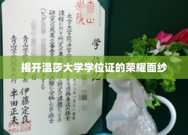 揭开温莎大学学位证的荣耀面纱