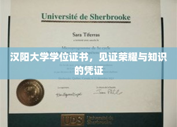 汉阳大学学位证书，见证荣耀与知识的凭证
