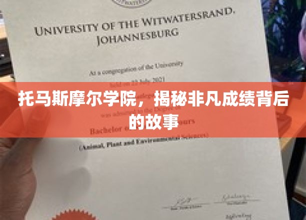 托马斯摩尔学院，揭秘非凡成就的育人奥秘