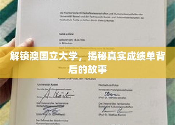 澳国立大学成绩单揭秘，探寻学霸背后的奋斗轨迹