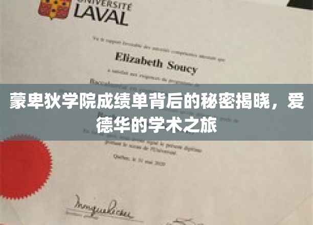 揭开蒙卑狄学院成绩单之谜，爱德华的学术征途揭秘