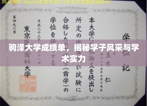 驹泽大学学子风采，一纸成绩单见证学术实力与卓越成就