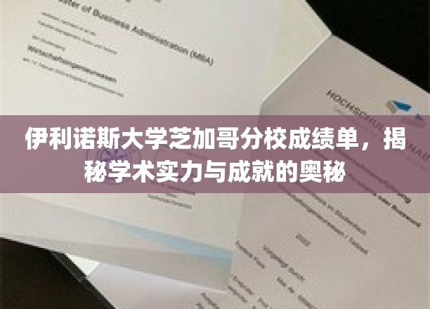 伊利诺斯芝加哥分校揭秘，揭开学术精英背后的实力密码