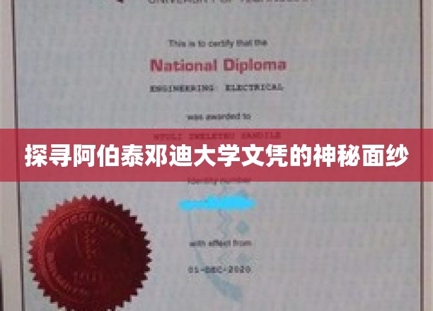 探寻阿伯泰邓迪大学文凭的神秘面纱