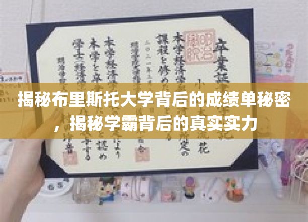 布里斯托大学学霸背后的惊人成绩单，揭秘学术实力之谜