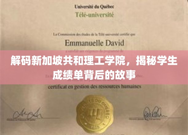 解码新加坡共和理工学院，揭秘学生成绩单背后的故事
