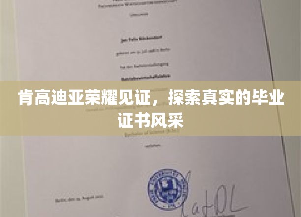 毕业证书背后的荣耀之光，肯高迪亚风采大揭秘