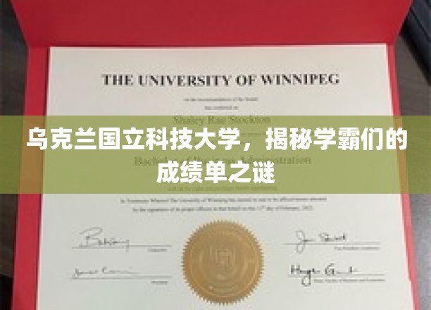 揭秘，乌克兰国立科技大学学霸们的卓越成绩背后的秘密