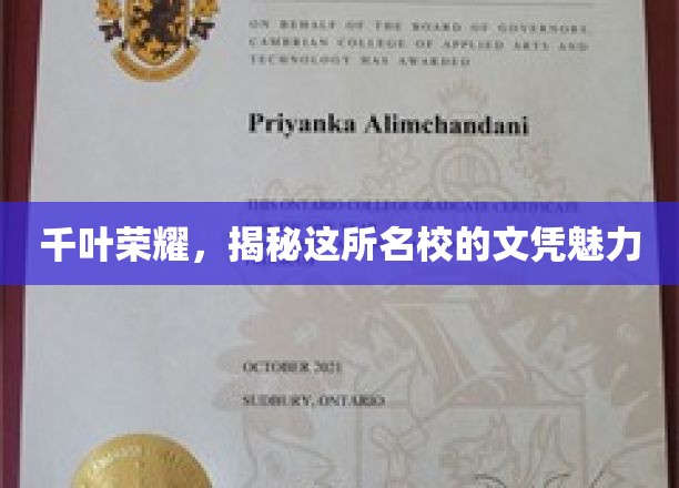 解码千叶荣耀，名校文凭的非凡吸引力