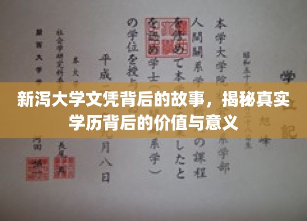 新泻大学文凭背后的故事，揭秘真实学历背后的价值与意义