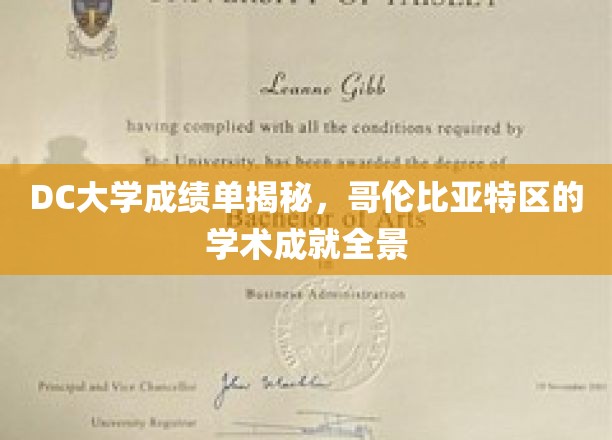 哥伦比亚特区DC大学成绩单大揭秘，学术辉煌尽收眼底