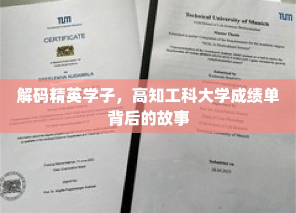 探寻学霸之路，揭秘高知工科学子成绩单背后的心路历程