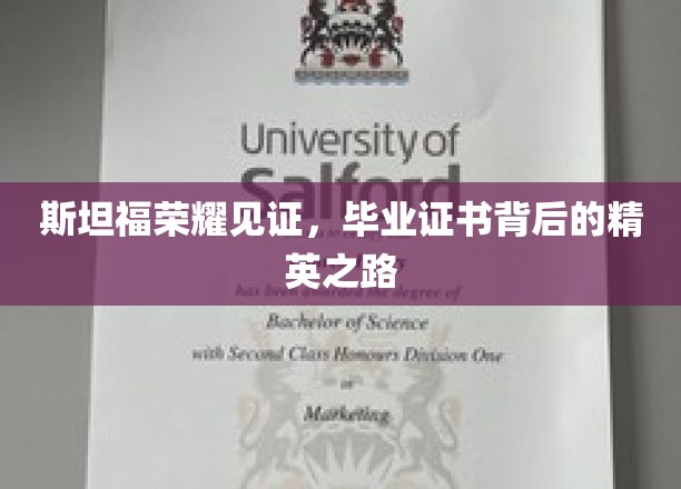 斯坦福光环下的精英足迹，毕业证书背后的荣耀征程