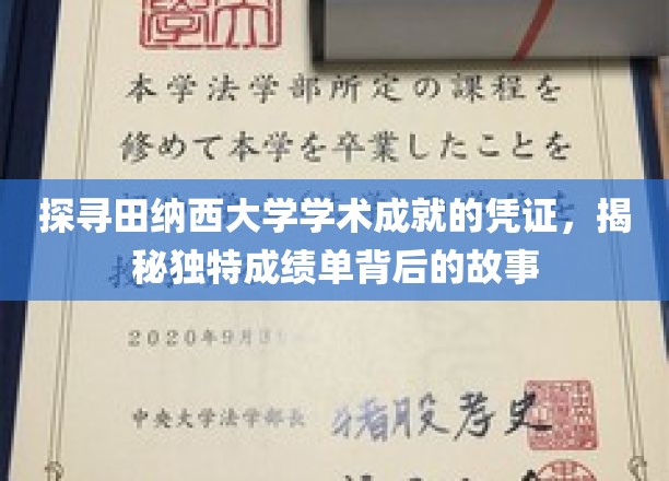 探寻田纳西大学学术成就的凭证，揭秘独特成绩单背后的故事