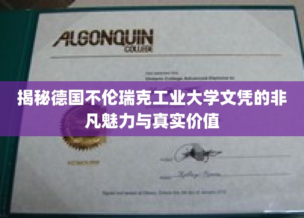 德国不伦瑞克工业大学文凭，揭秘其独特魅力与卓越价值
